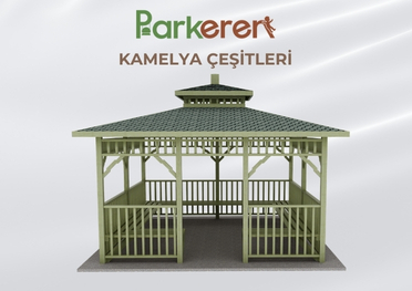 Kamelya Çeşitleri